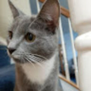 Meet your Posher, Beverly